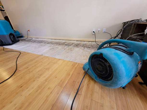 Professional Water Damage Repair technician working in Henefer, UT